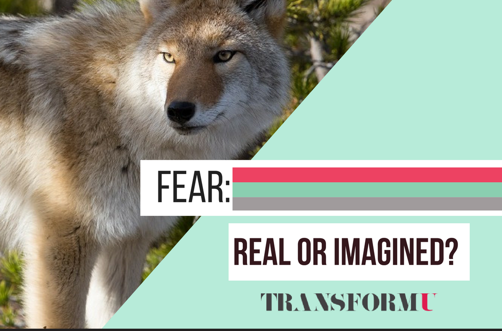 3 Surefire Ways to Master Your Fears with Valor