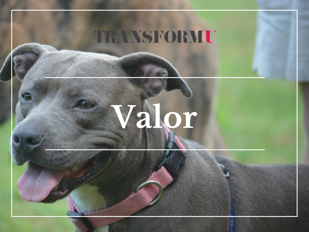 Valor Blog- Transform University Life Coach