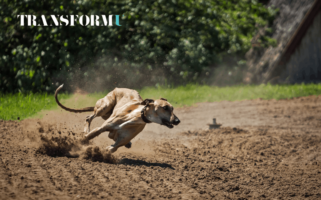 How to Break Free From a Speed-Demon Mindset - Transform University Blog